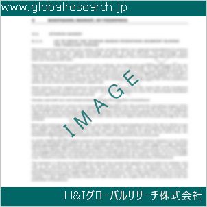 グローバルリサーチ調査資料のイメージ